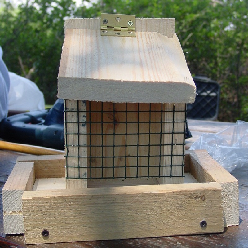 Progetti pratici di educazione ambientale